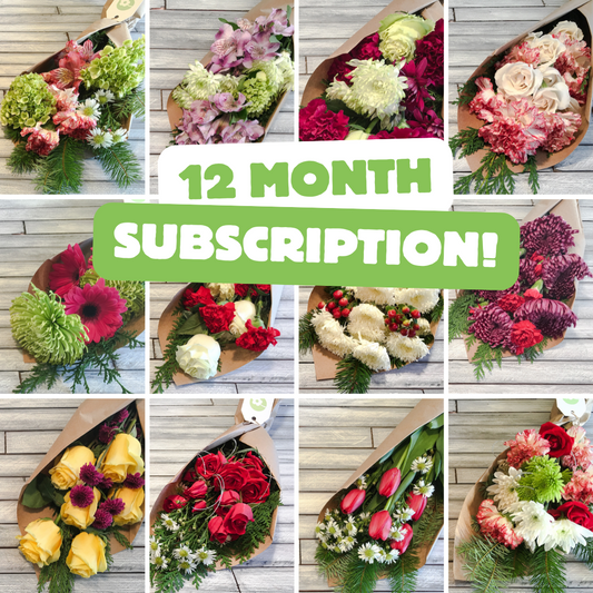 The Big Kahuna (12 Month Subscription)